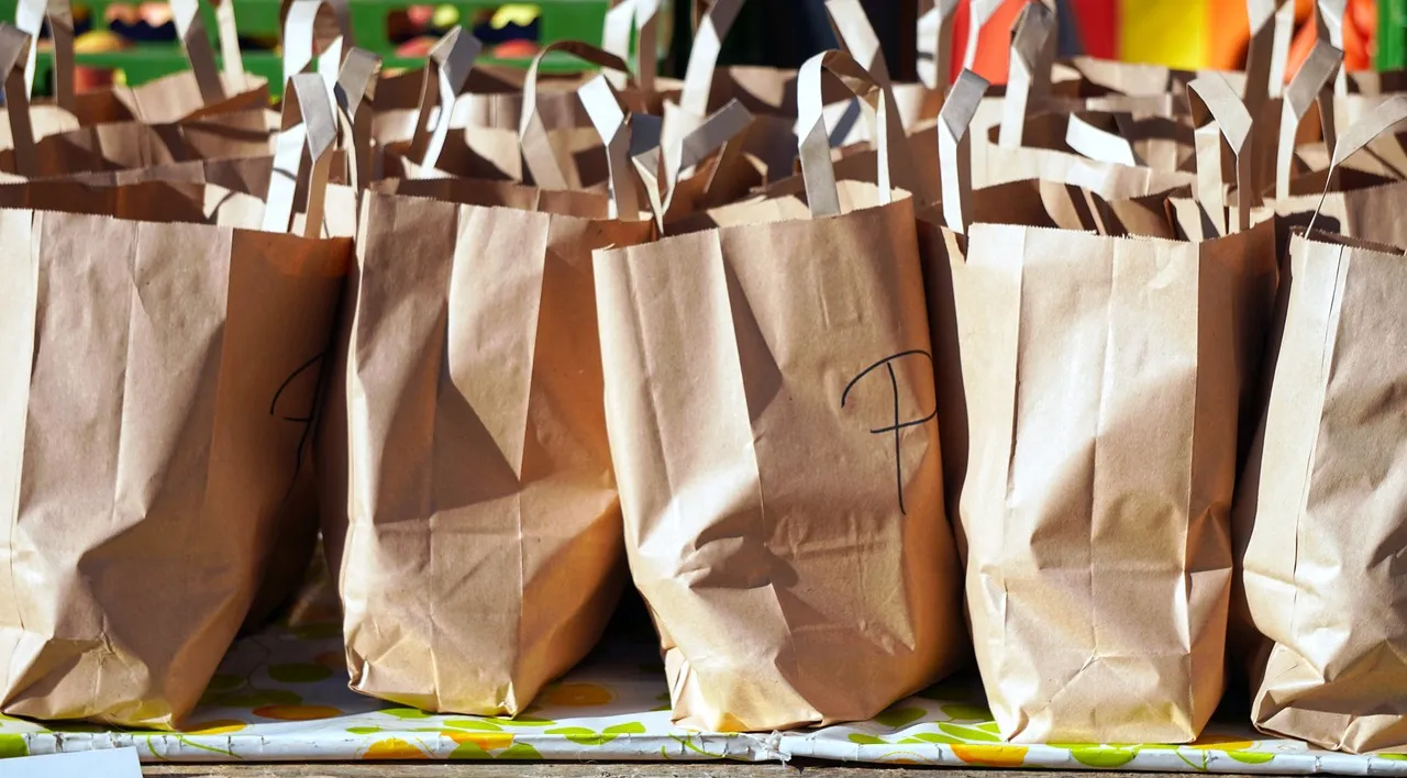 Paper Bags vs Plastic Bags